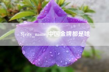 肇庆中国金牌都是啥