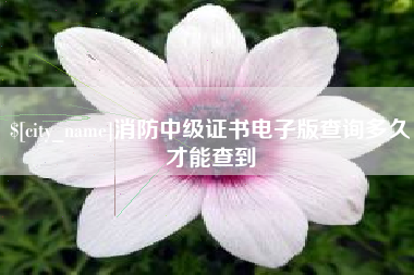 肇庆消防中级证书电子版查询多久才能查到