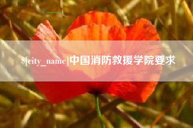 肇庆中国消防救援学院要求