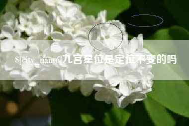 肇庆九宫星位是定位不变的吗
