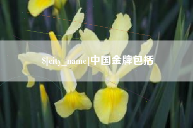 肇庆中国金牌包括