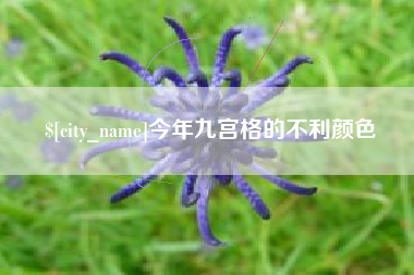 肇庆今年九宫格的不利颜色