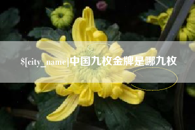 肇庆中国九枚金牌是哪九枚