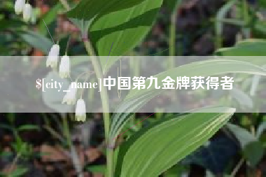 肇庆中国第九金牌获得者
