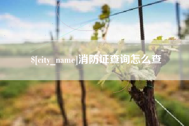 肇庆消防证查询怎么查
