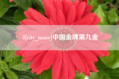 肇庆中国金牌第九金