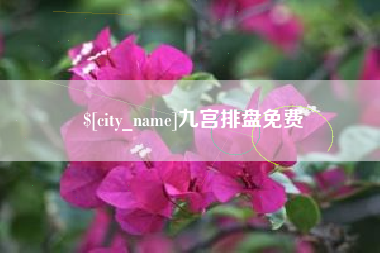 肇庆九宫排盘免费