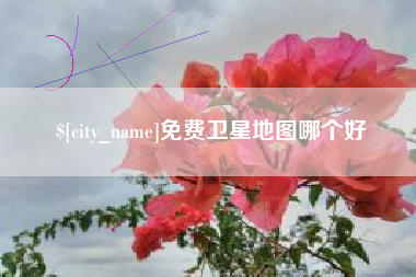 肇庆免费卫星地图哪个好
