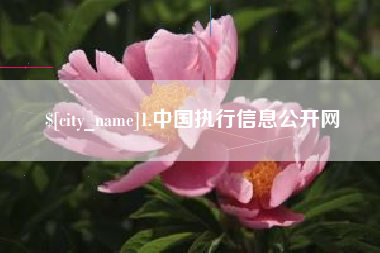 肇庆1.中国执行信息公开网