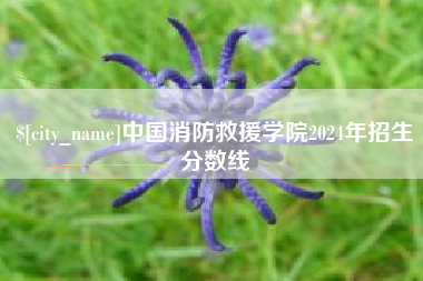 肇庆中国消防救援学院2024年招生分数线