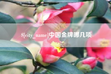 肇庆中国金牌哪几项