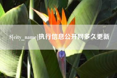 肇庆执行信息公开网多久更新