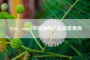 肇庆中国消防产品信息查询
