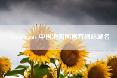 肇庆中国消防网官方网站域名