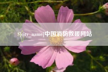 肇庆中国消防救援网站