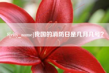 肇庆我国的消防日是几月几号？
