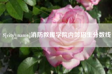 肇庆消防救援学院内部招生分数线