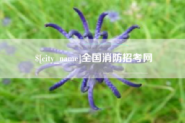 肇庆全国消防招考网