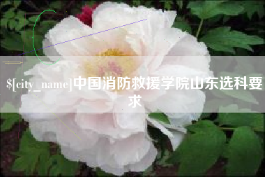 肇庆中国消防救援学院山东选科要求
