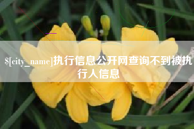 肇庆执行信息公开网查询不到被执行人信息