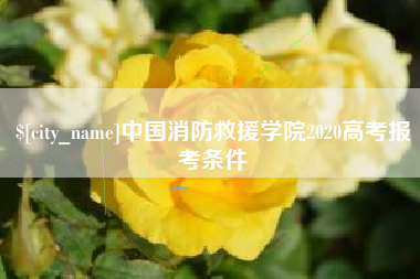肇庆中国消防救援学院2020高考报考条件