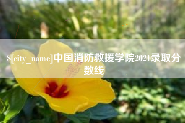 肇庆中国消防救援学院2021录取分数线