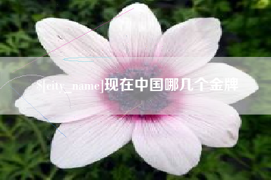 肇庆现在中国哪几个金牌