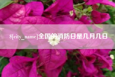肇庆全国的消防日是几月几日