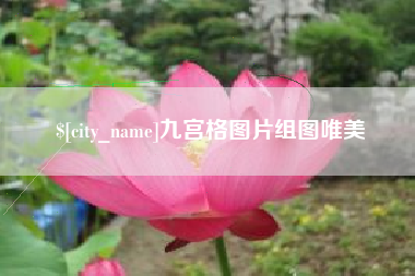 肇庆九宫格图片组图唯美