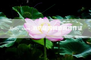 肇庆消防证国网查询操作证