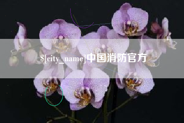 肇庆中国消防官方