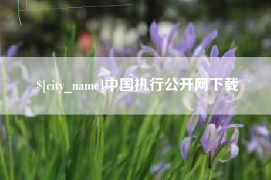 肇庆中国执行公开网下载