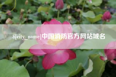 肇庆中国消防官方网站域名