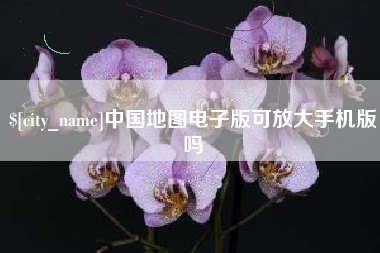 肇庆中国地图电子版可放大手机版吗