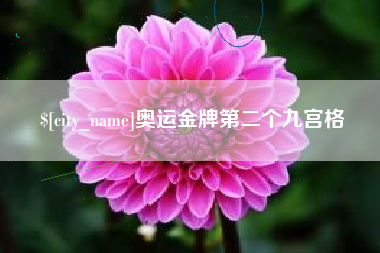 肇庆奥运金牌第二个九宫格