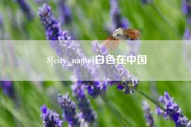 肇庆白色在中国