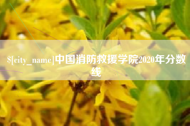 肇庆中国消防救援学院2020年分数线