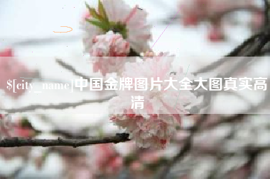 肇庆中国金牌图片大全大图真实高清