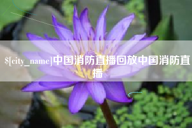 肇庆中国消防直播回放中国消防直播