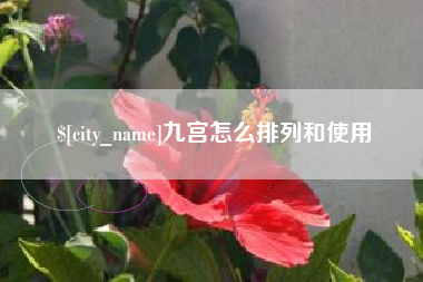 肇庆九宫怎么排列和使用
