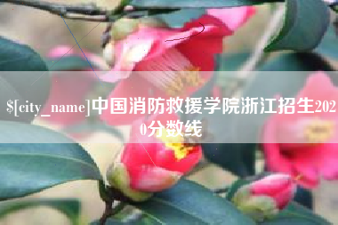 肇庆中国消防救援学院浙江招生2020分数线