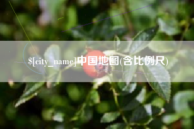 肇庆中国地图(含比例尺)