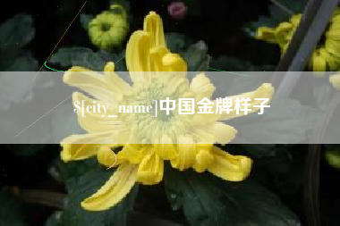 肇庆中国金牌样子