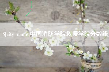 肇庆中国消防学院救援学院分数线
