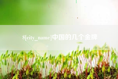 肇庆中国的几个金牌
