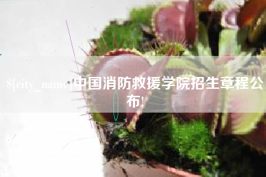 肇庆中国消防救援学院招生章程公布!