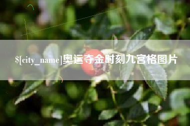 肇庆奥运夺金时刻九宫格图片