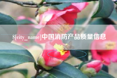肇庆中国消防产品质量信息