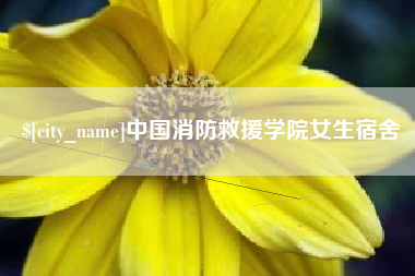 肇庆中国消防救援学院女生宿舍
