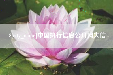 肇庆中国执行信息公开网失信